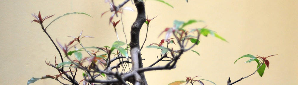 遙測與醫療影像處理實驗室